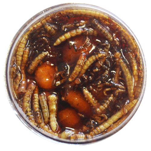 TB Baits Pickled Tiger Nut XXL + Worm 150 ml